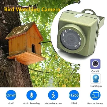1080P 1920P Наружная WiFi Камера Для Наблюдения за птицами Водонепроницаемая 940nm ИК Ночного Видения Мини-Камера Безопасности Bird Box Nest Camhi CCTV