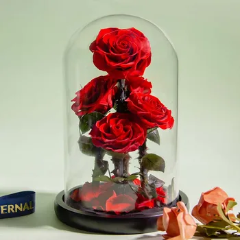 Вечные Розы В стеклянном куполе, 5 цветочных головок, Роза, вечная любовь, Свадебная услуга, подарки на День матери для женщин, подруг