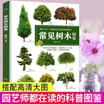 Иллюстрации обычных деревьев, Книги по ландшафтному дизайну, Иллюстрации садовых цветов и деревьев, Книги по саженцам Дацюань, Иллюстрации растений