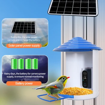 Камера для кормления птиц, искусственный интеллект, определяющий виды, Встроенный аккумулятор, Автоматический захват видео с уведомлением о птицах, Интеллектуальная камера для кормления птиц с Wi-Fi