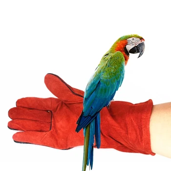 Перчатки Для дрессировки птиц, попугаев, перчатки для защиты от укусов, хомяка, перчатки для жевания, царапин, Рабочие Защитные перчатки для маленьких домашних животных