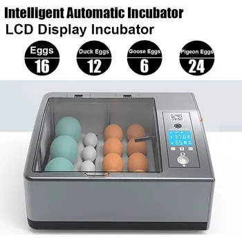 Полностью Автоматический Инкубатор с ЖК-дисплеем, Инкубатор двойного Питания вмещает 16 Яиц/12 Утиных яиц/6 Гусиных яиц/24 Голубиных яйца