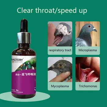 Пробиотики для дыхания голубей 50 мл гоночный голубь почтовый голубь натуральное средство для очистки дыхательных путей