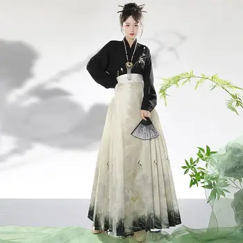 Традиционная китайская плиссированная юбка с вышивкой Hanfu, юбка с лошадиным лицом, повседневная рубашка, Комплект для ежедневных поездок на работу, женская одежда