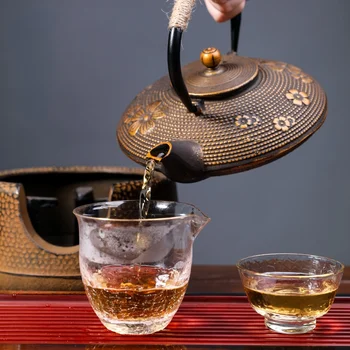 Японский Бытовой Чайник, Медицинский Домашний Чайник, Чугунный Чайник ручной работы, Классический Чугунный Чайник Для заварки Чая, Аксессуары для Чайного набора